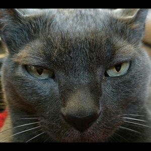 Meet your Posher, Angie